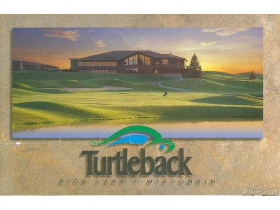 Logo-Turtleback